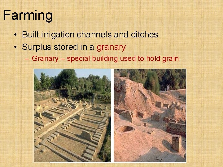 Farming • Built irrigation channels and ditches • Surplus stored in a granary –