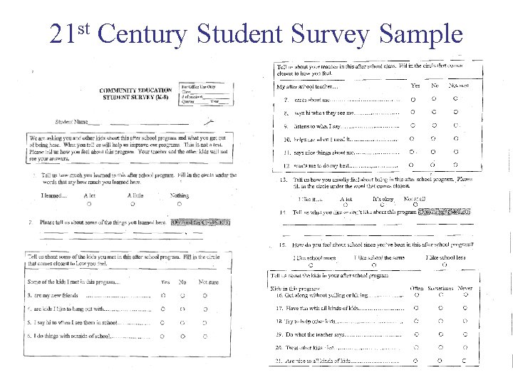 21 st Century Student Survey Sample 