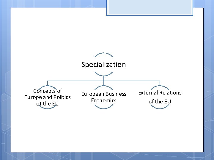 Specialization Concepts of Europe and Politics of the EU European Business Economics External Relations