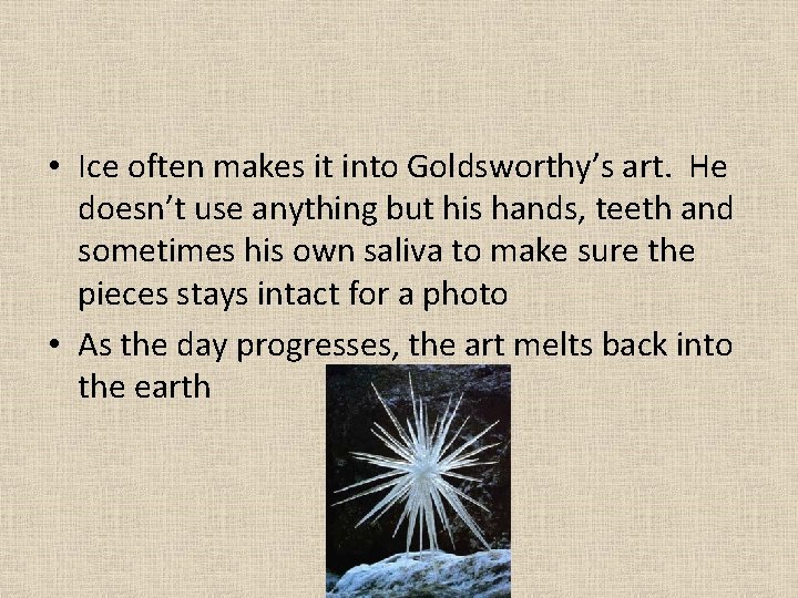  • Ice often makes it into Goldsworthy’s art. He doesn’t use anything but