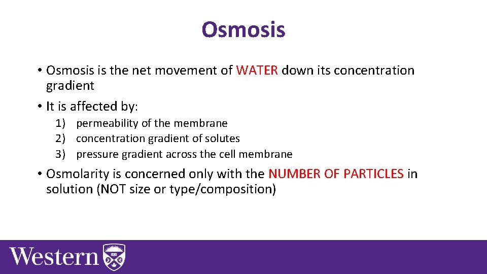 Osmosis • Osmosis is the net movement of WATER down its concentration gradient •