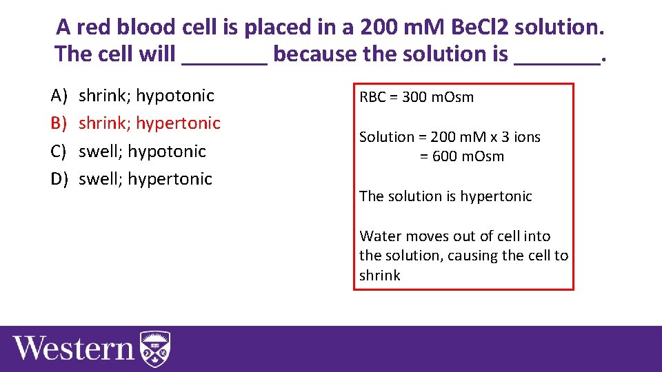 A red blood cell is placed in a 200 m. M Be. Cl 2