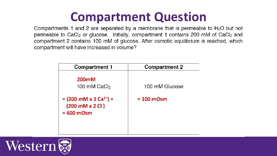 Compartment Question 200 m. M = (200 m. M x 1 Ca 2+) +