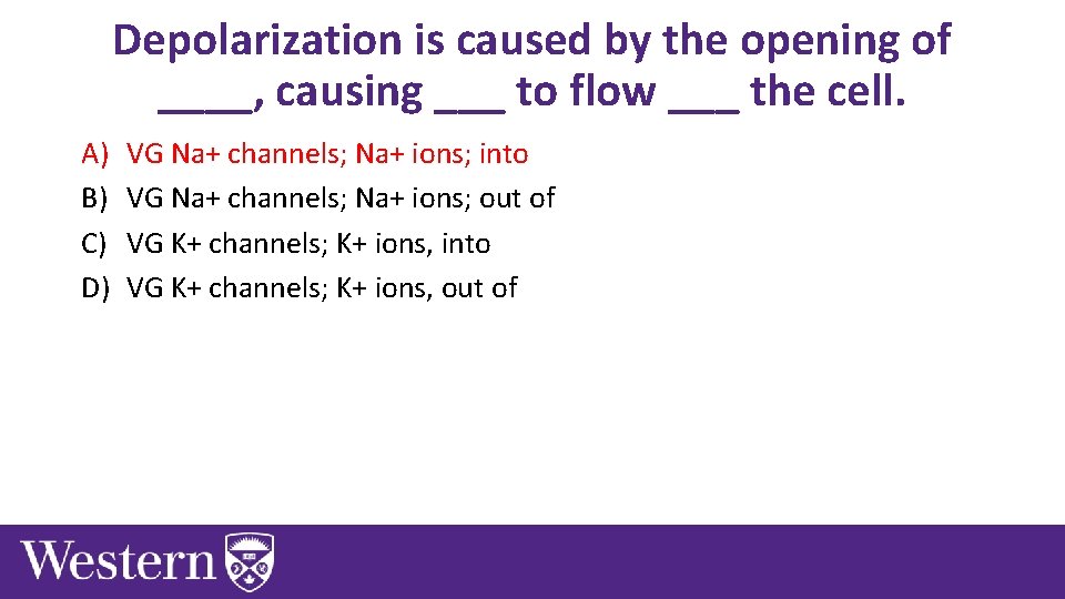 Depolarization is caused by the opening of ____, causing ___ to flow ___ the