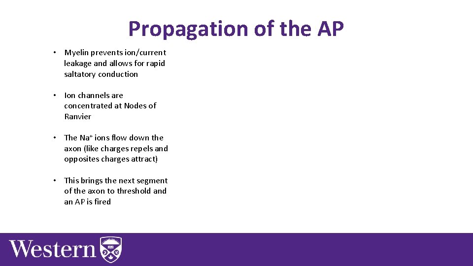 Propagation of the AP • Myelin prevents ion/current leakage and allows for rapid saltatory