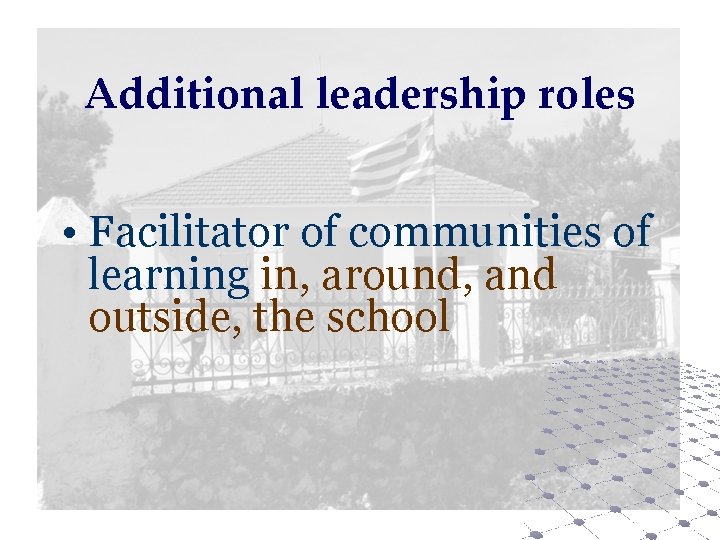 Additional leadership roles • Facilitator of communities of learning in, around, and outside, the