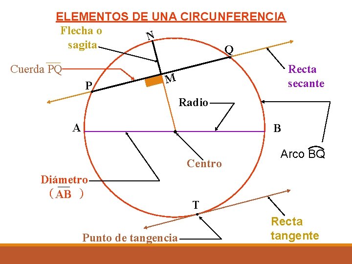 ELEMENTOS DE UNA CIRCUNFERENCIA Flecha o N sagita Q Cuerda PQ P Recta secante