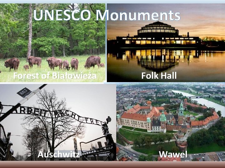 UNESCO Monuments Forest of Białowieża Auschwitz Folk Hall Wawel 
