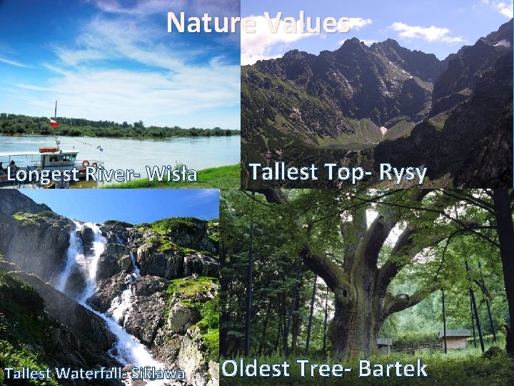 Nature Values Longest River- Wisła Tallest Waterfall- Siklawa Tallest Top- Rysy Oldest Tree- Bartek