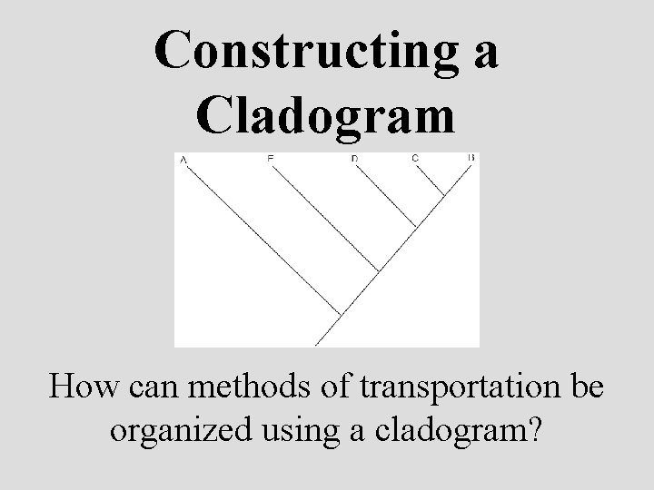 Constructing a Cladogram How can methods of transportation be organized using a cladogram? 
