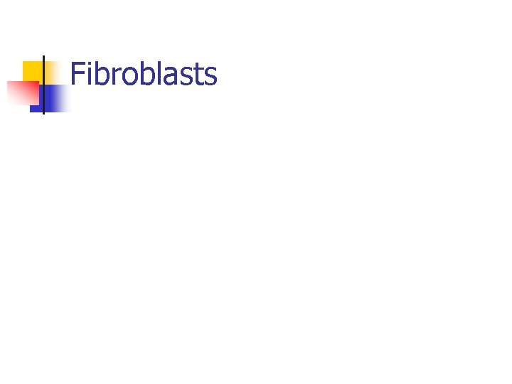 Fibroblasts 