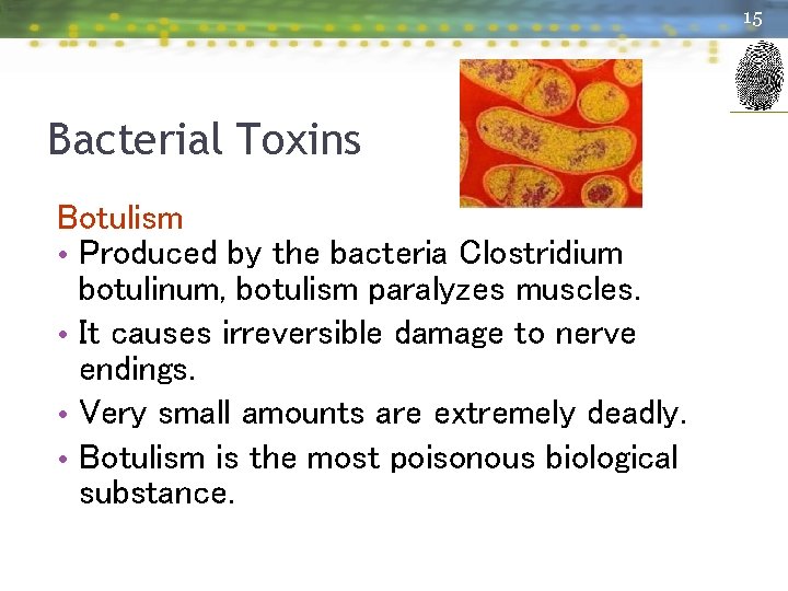 15 Forensic Science: Fundamentals & Investigations, Chapter 9 Bacterial Toxins Botulism • Produced by