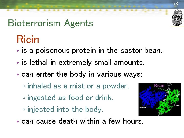 18 Bioterrorism Agents Ricin • is a poisonous protein in the castor bean. •