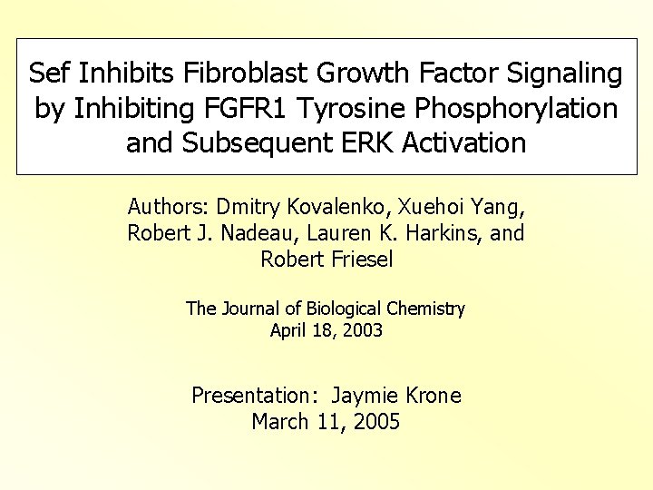 Sef Inhibits Fibroblast Growth Factor Signaling by Inhibiting FGFR 1 Tyrosine Phosphorylation and Subsequent