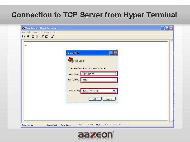 Connection to TCP Server from Hyper Terminal 