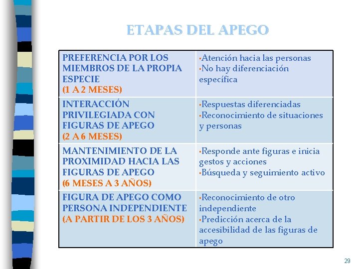 ETAPAS DEL APEGO PREFERENCIA POR LOS MIEMBROS DE LA PROPIA ESPECIE (1 A 2