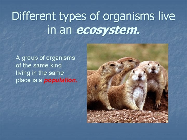 Different types of organisms live in an ecosystem. A group of organisms of the