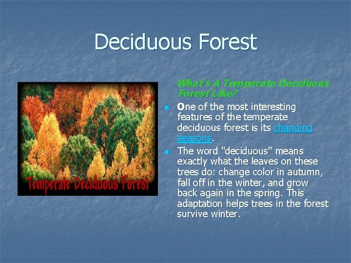 Deciduous Forest What's A Temperate Deciduous Forest Like? n n One of the most
