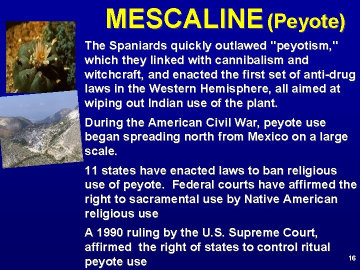 MESCALINE (Peyote) The Spaniards quickly outlawed "peyotism, " which they linked with cannibalism and