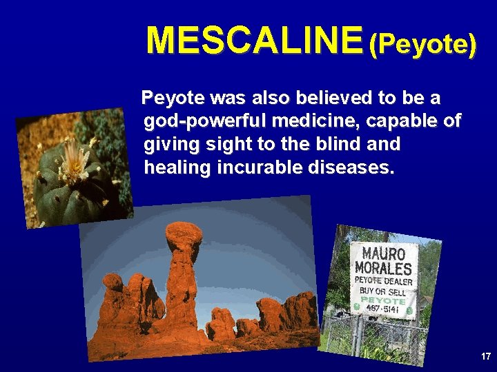 MESCALINE (Peyote) Peyote was also believed to be a god-powerful medicine, capable of giving