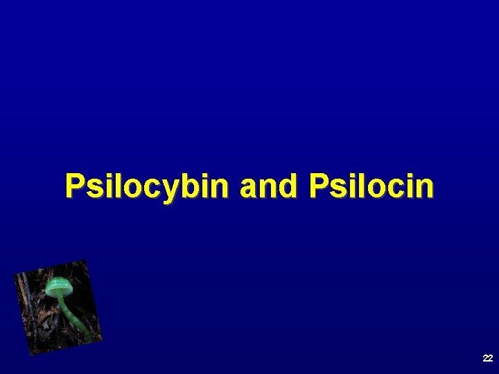 Psilocybin and Psilocin 22 