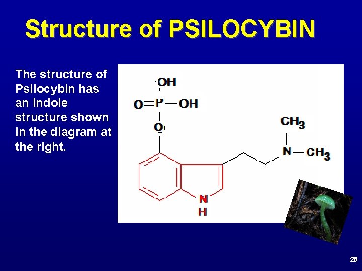Structure of PSILOCYBIN The structure of Psilocybin has an indole structure shown in the