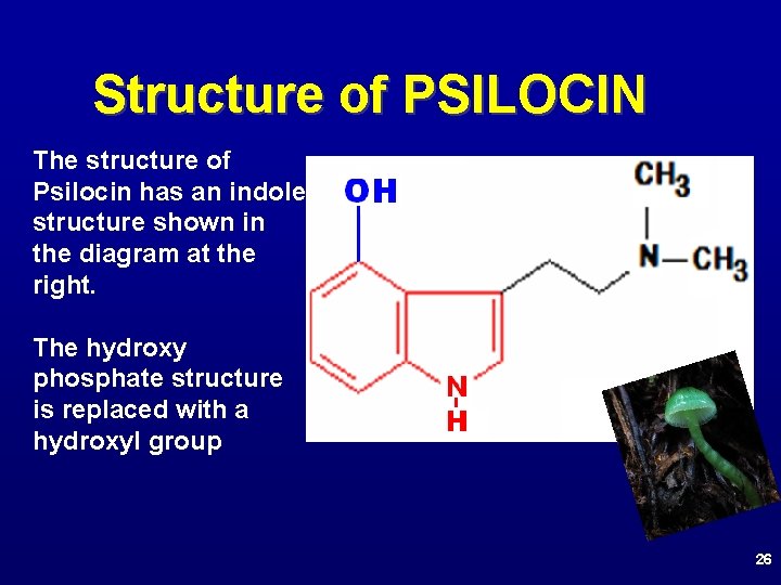Structure of PSILOCIN The structure of Psilocin has an indole structure shown in the