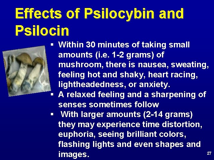 Effects of Psilocybin and Psilocin § Within 30 minutes of taking small amounts (i.