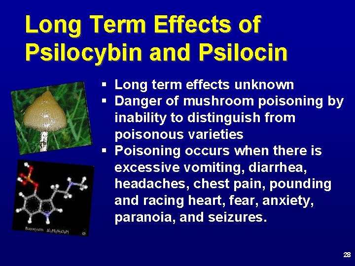 Long Term Effects of Psilocybin and Psilocin § Long term effects unknown § Danger