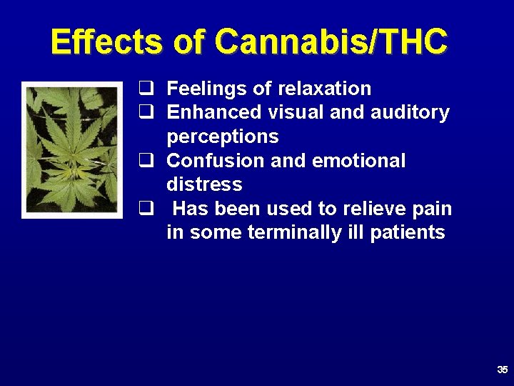 Effects of Cannabis/THC q Feelings of relaxation q Enhanced visual and auditory perceptions q
