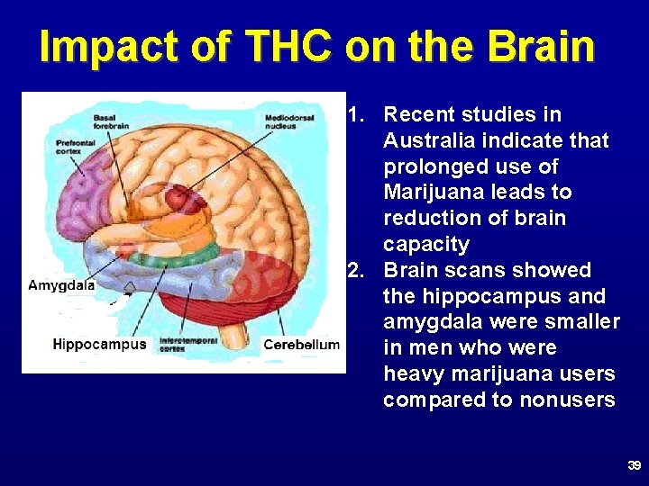 Impact of THC on the Brain 1. Recent studies in Australia indicate that prolonged
