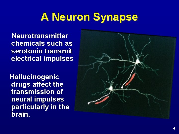 A Neuron Synapse Neurotransmitter chemicals such as serotonin transmit electrical impulses Hallucinogenic drugs affect