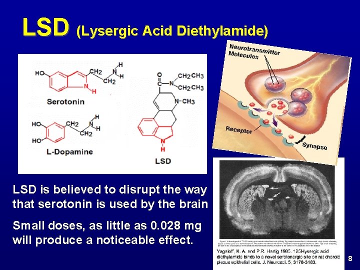 LSD (Lysergic Acid Diethylamide) LSD is believed to disrupt the way that serotonin is