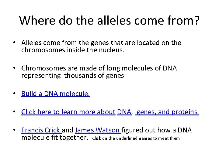 Where do the alleles come from? • Alleles come from the genes that are