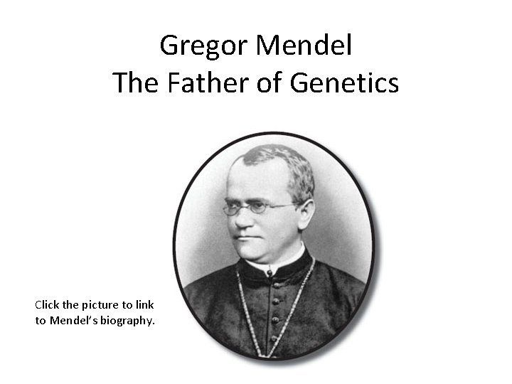 Gregor Mendel The Father of Genetics Click the picture to link to Mendel’s biography.