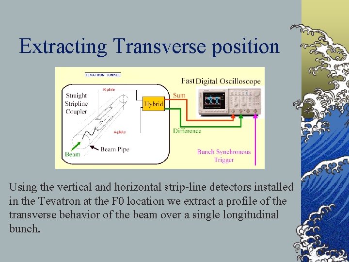 Extracting Transverse position Using the vertical and horizontal strip-line detectors installed in the Tevatron
