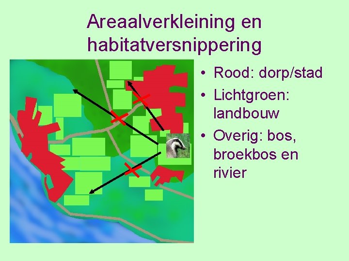 Areaalverkleining en habitatversnippering • Rood: dorp/stad • Lichtgroen: landbouw • Overig: bos, broekbos en