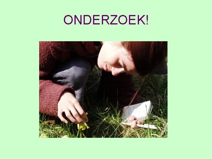 ONDERZOEK! 