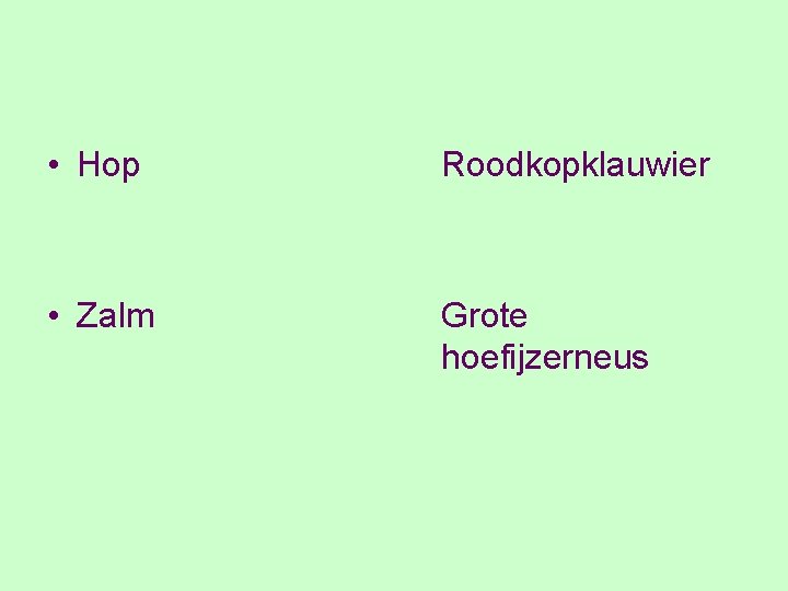  • Hop Roodkopklauwier • Zalm Grote hoefijzerneus 