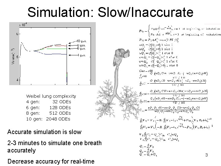 Simulation: Slow/Inaccurate Weibel lung complexity 4 gen: 32 ODEs 6 gen: 128 ODEs 8