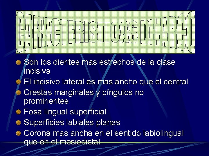 Son los dientes mas estrechos de la clase incisiva El incisivo lateral es mas