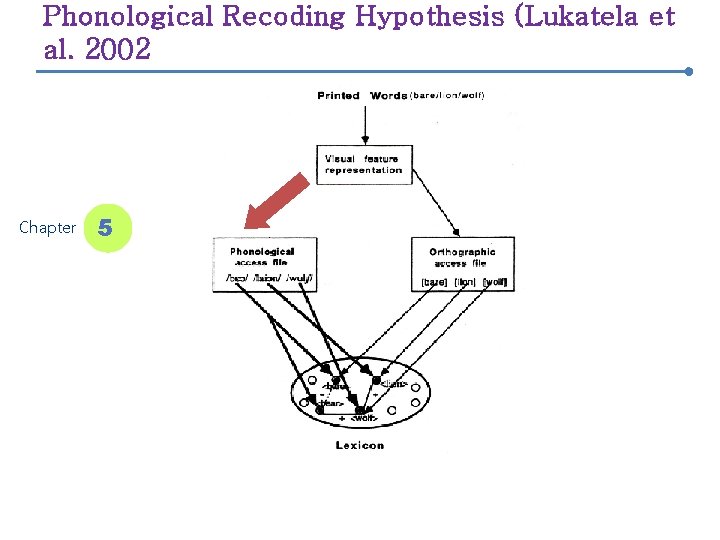 Phonological Recoding Hypothesis (Lukatela et al. 2002 Chapter 5 