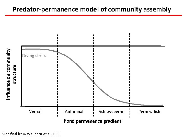 Influence on community structure Predator-permanence model of community assembly Drying stress Vernal Autumnal Fishless