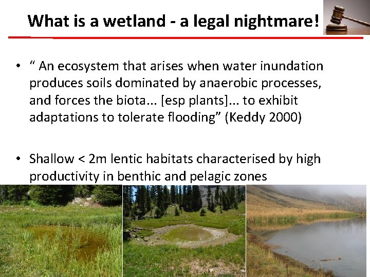 What is a wetland - a legal nightmare! • “ An ecosystem that arises