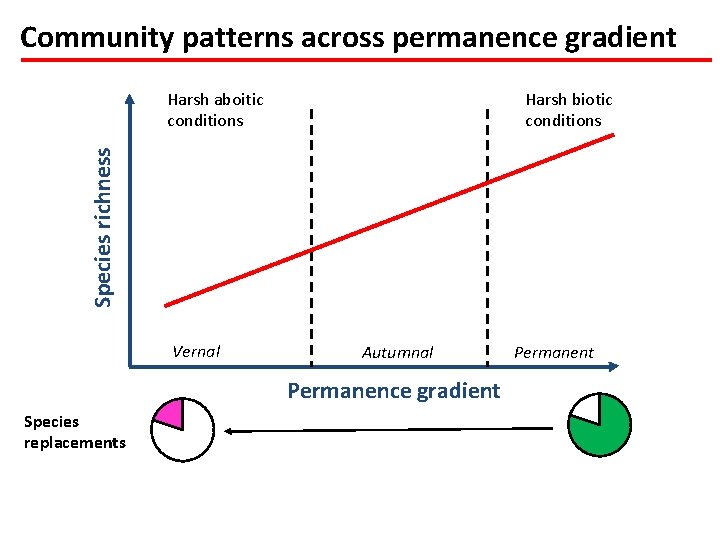 Community patterns across permanence gradient Harsh biotic conditions Species richness Harsh aboitic conditions Vernal