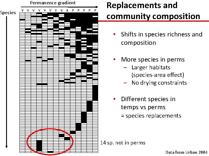 Species Permanence gradient V V V 1 1 V V P 1 1 1