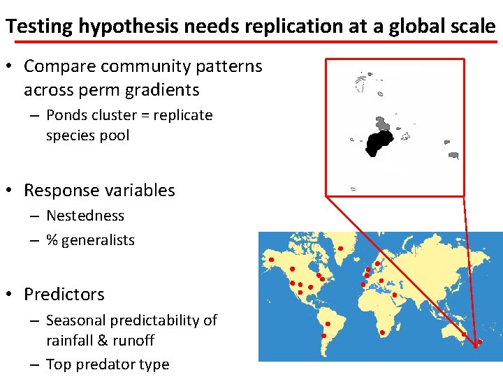 Testing hypothesis needs replication at a global scale • Compare community patterns across perm