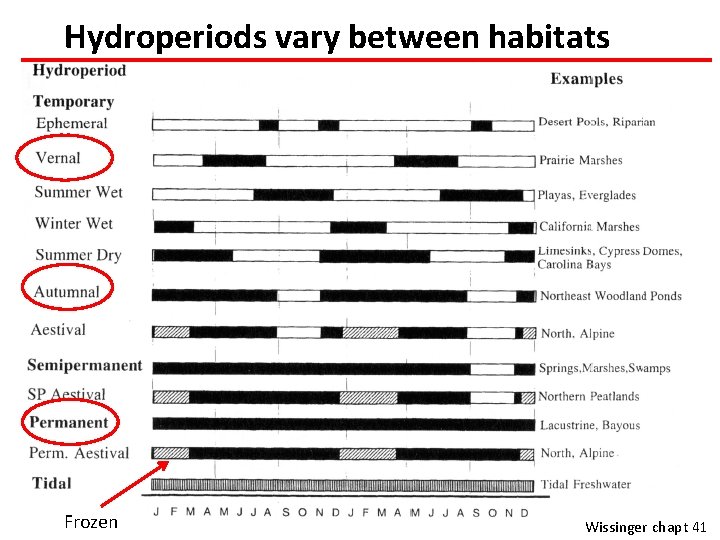 Hydroperiods vary between habitats Frozen Wissinger chapt 41 
