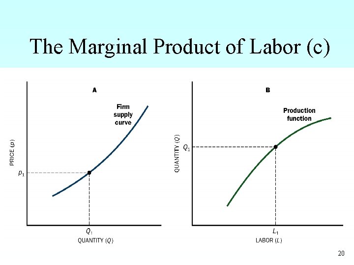 The Marginal Product of Labor (c) 20 