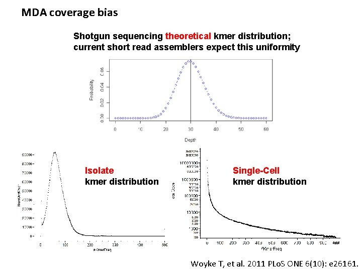 MDA coverage bias Shotgun sequencing theoretical kmer distribution; current short read assemblers expect this MDA coverage bias Shotgun sequencing theoretical kmer distribution; current short read assemblers expect this
